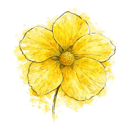 abutilón