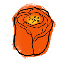 tulip