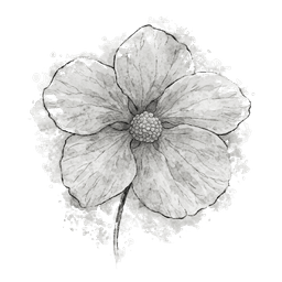 abutilón