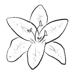 lily