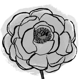 peoony