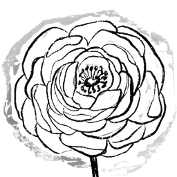 rosee